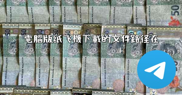 電腦版纸飞機下載的文件路径在