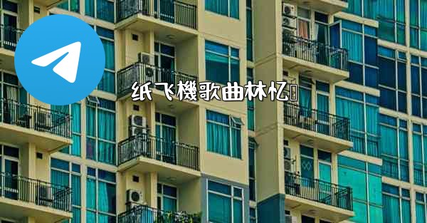 纸飞機歌曲林忆莲