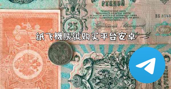 纸飞機賬號购买平台安卓