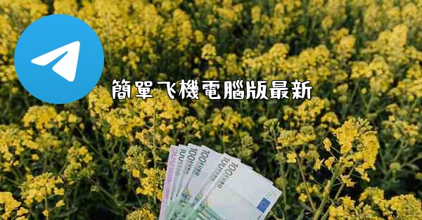 簡單飞機電腦版最新