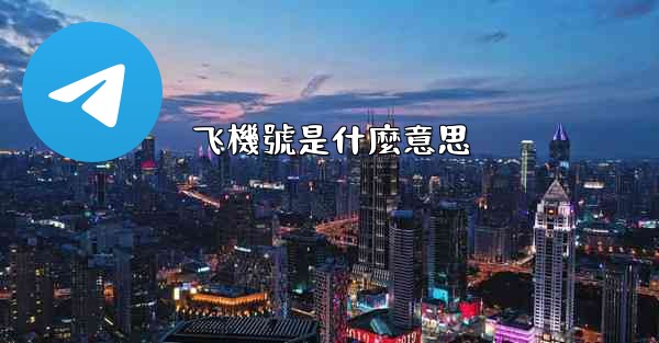 飞機號是什麼意思