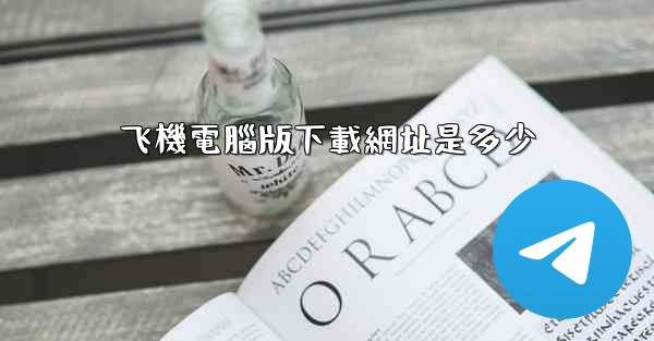 飞機電腦版下載網址是多少