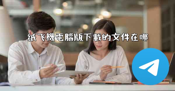 纸飞機電腦版下載的文件在哪