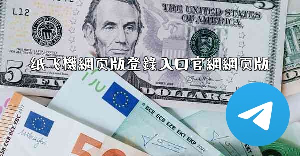 纸飞機網页版登錄入口官網網页版