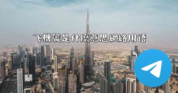 飞機號是什麼意思網絡用语