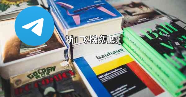 <b>折叠飞機怎麼叠</b>