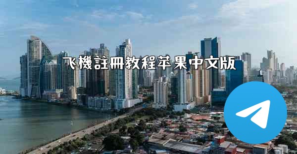 飞機註冊教程苹果中文版