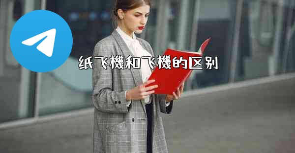 纸飞機和飞機的区别
