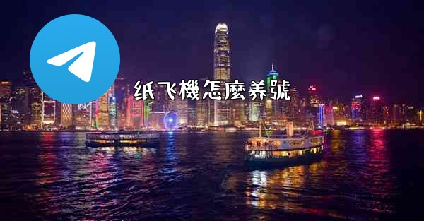 纸飞機怎麼养號