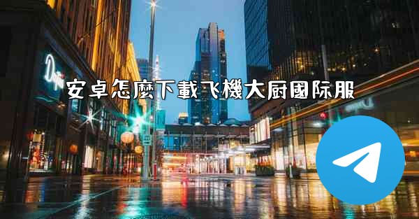 安卓怎麼下載飞機大厨國际服