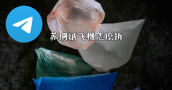 苏珊纸飞機怎麼折