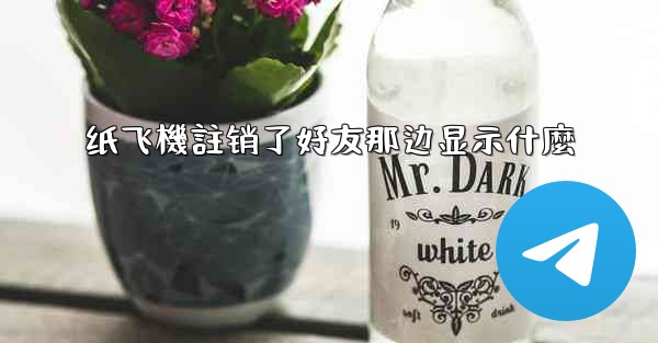 纸飞機註销了好友那边显示什麼