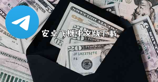 安卓飞機中文版下載