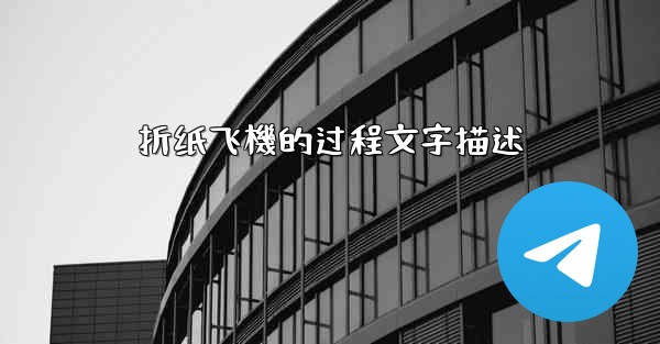 <b>折纸飞機的过程文字描述</b>