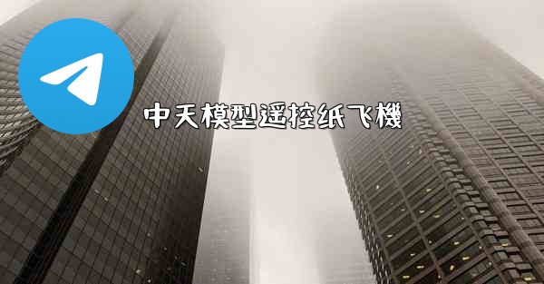 <b>中天模型遥控纸飞機</b>