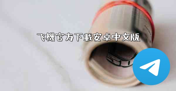 飞機官方下載安卓中文版