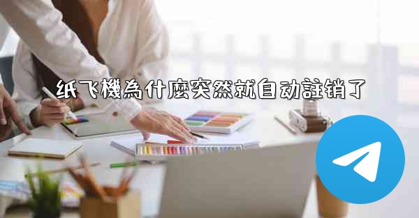 纸飞機為什麼突然就自动註销了