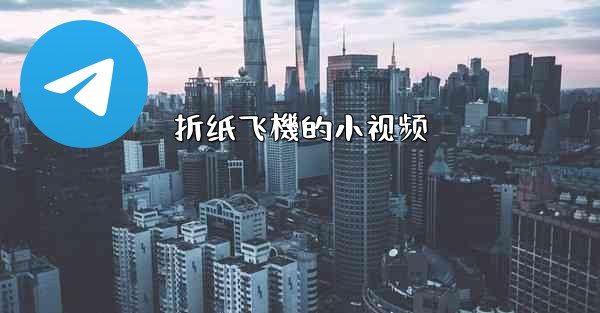 <b>折纸飞機的小视频</b>