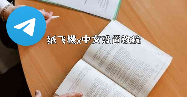 纸飞機x中文設置教程