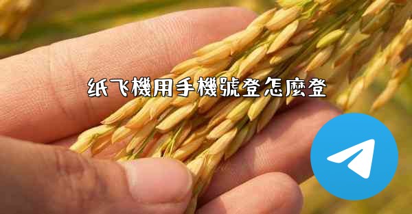 <b>纸飞機用手機號登怎麼登</b>