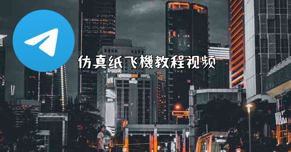 仿真纸飞機教程视频