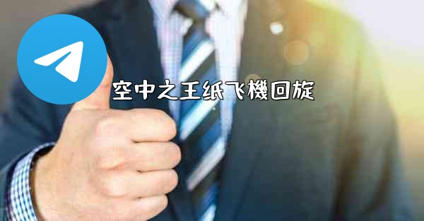 空中之王纸飞機回旋