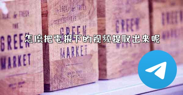 怎麼把電报下的视频提取出來呢