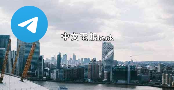 中文電报btok