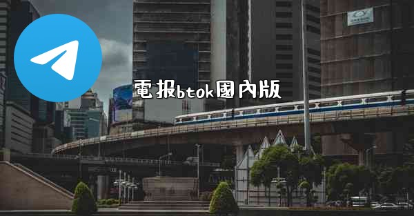 電报btok國內版