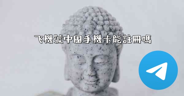 飞機號中國手機卡能註冊嗎