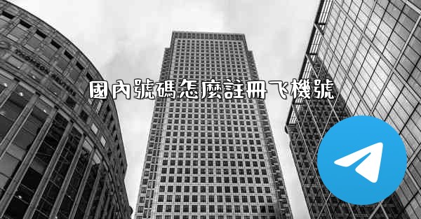 國內號碼怎麼註冊飞機號