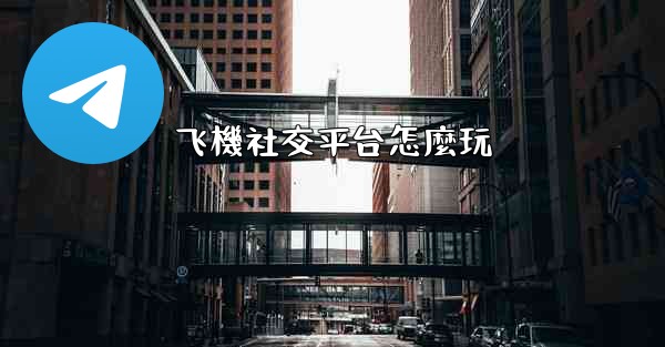 飞機社交平台怎麼玩
