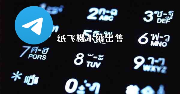 纸飞機小號出售