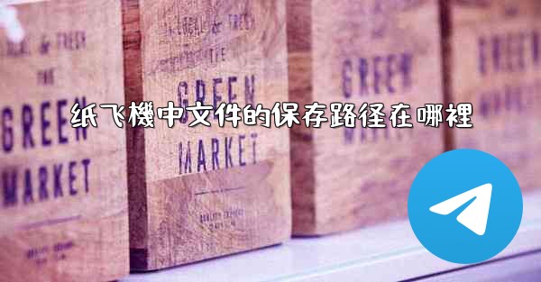 纸飞機中文件的保存路径在哪裡