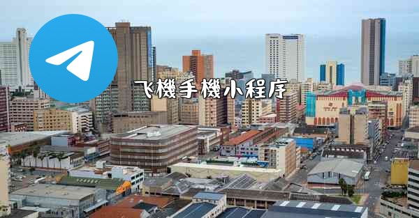 飞機手機小程序