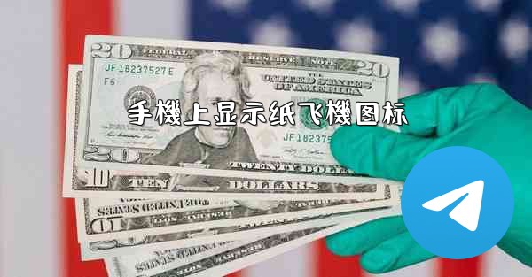 <b>手機上显示纸飞機图标</b>