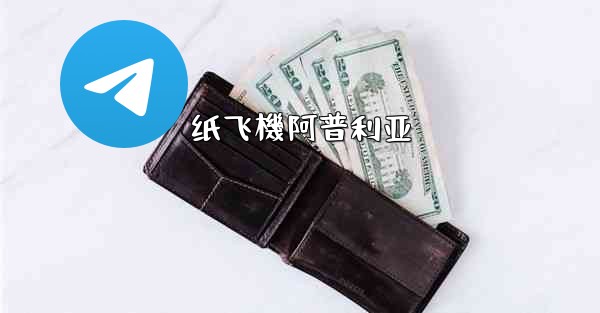 纸飞機阿普利亚