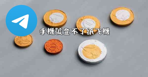 手機號登不了纸飞機