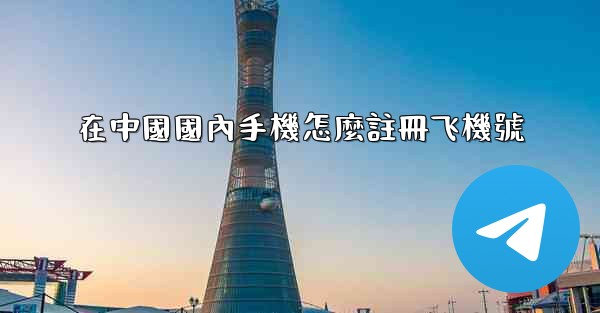 在中國國內手機怎麼註冊飞機號