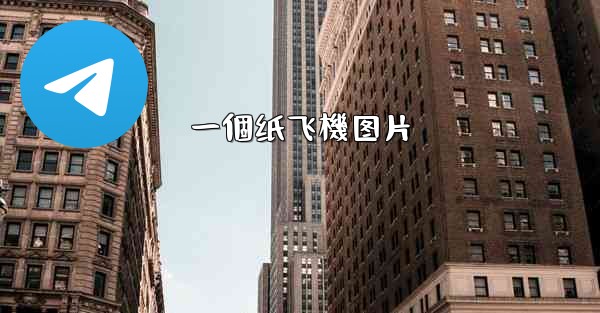 一個纸飞機图片