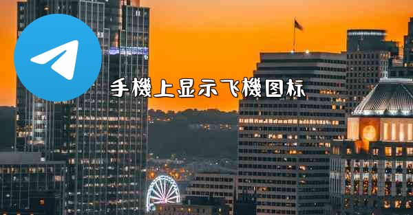 <b>手機上显示飞機图标</b>