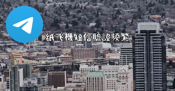 纸飞機短信驗證频繁