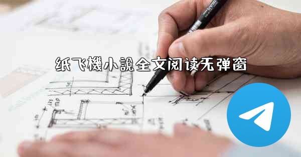 纸飞機小說全文阅读无弹窗