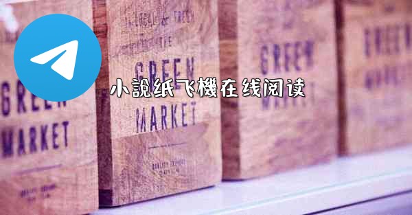小說纸飞機在线阅读