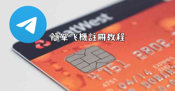 <b>簡單飞機註冊教程</b>