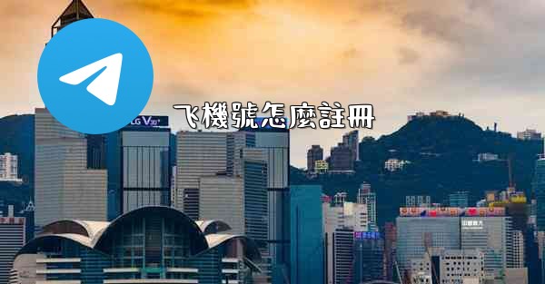 飞機號怎麼註冊