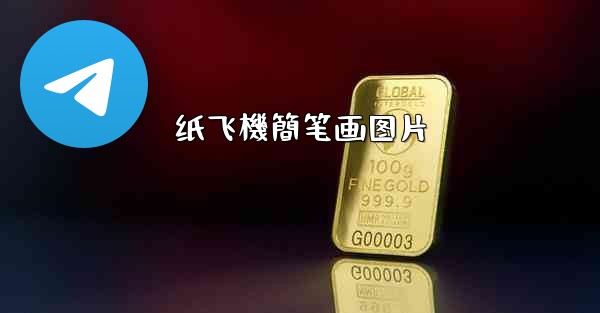 纸飞機簡笔画图片