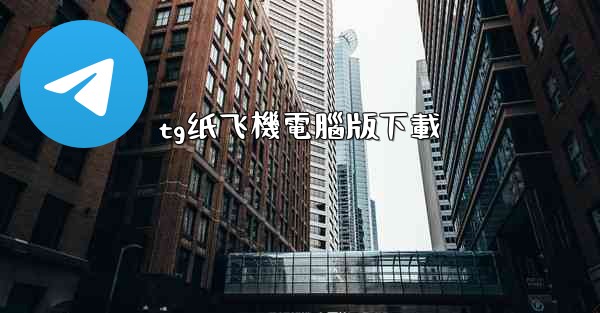 tg纸飞機電腦版下載