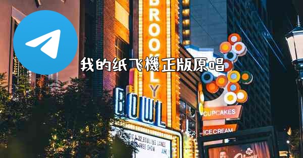 我的纸飞機正版原唱