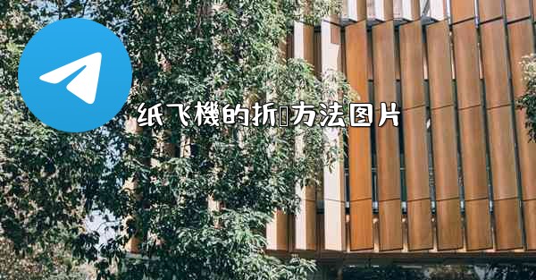 纸飞機的折叠方法图片